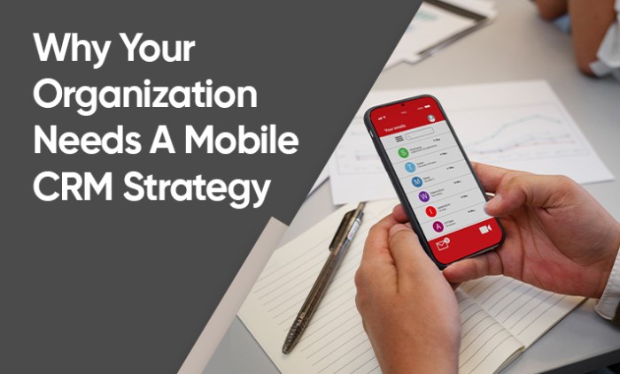 Why Managed Server Hosting is Ideal for CRM Solutions