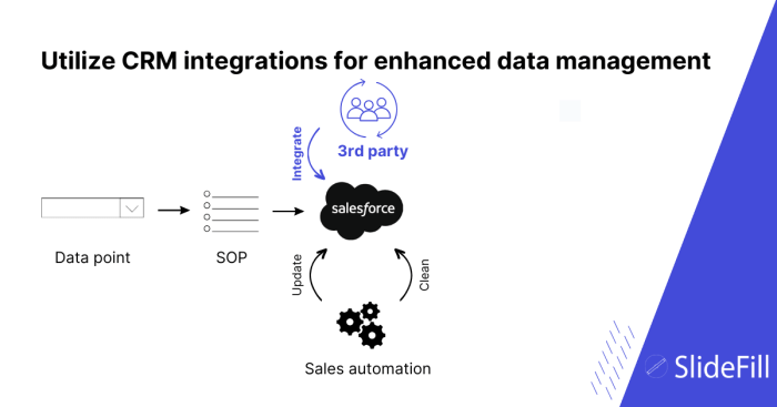 Ensuring CRM Data Integrity with Secure Server Hosting