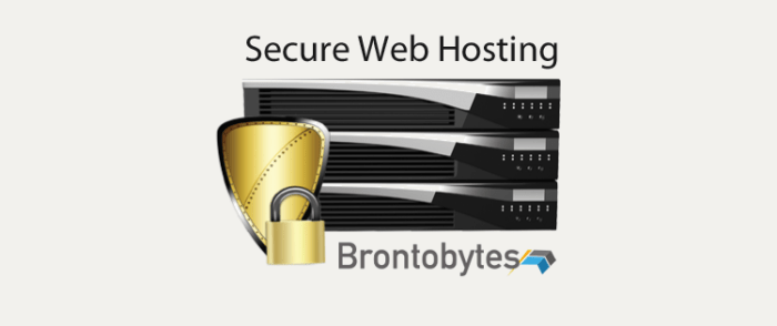 Secure Your CRM Platform with Private Server Hosting